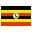Jonli kazino