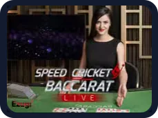 Tez Cricket Baccarat Live belgisi